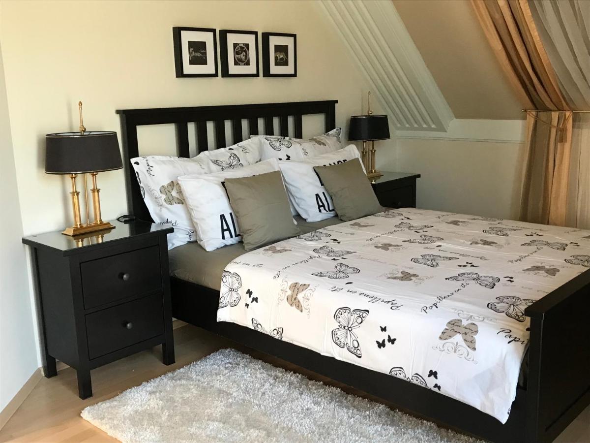 발라톤사르소 Viktoria House 빌라 외부 사진