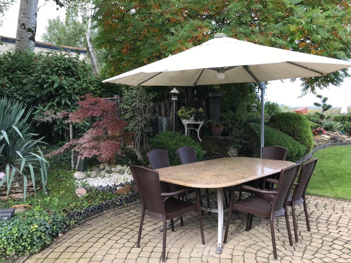 발라톤사르소 Viktoria House 빌라 외부 사진