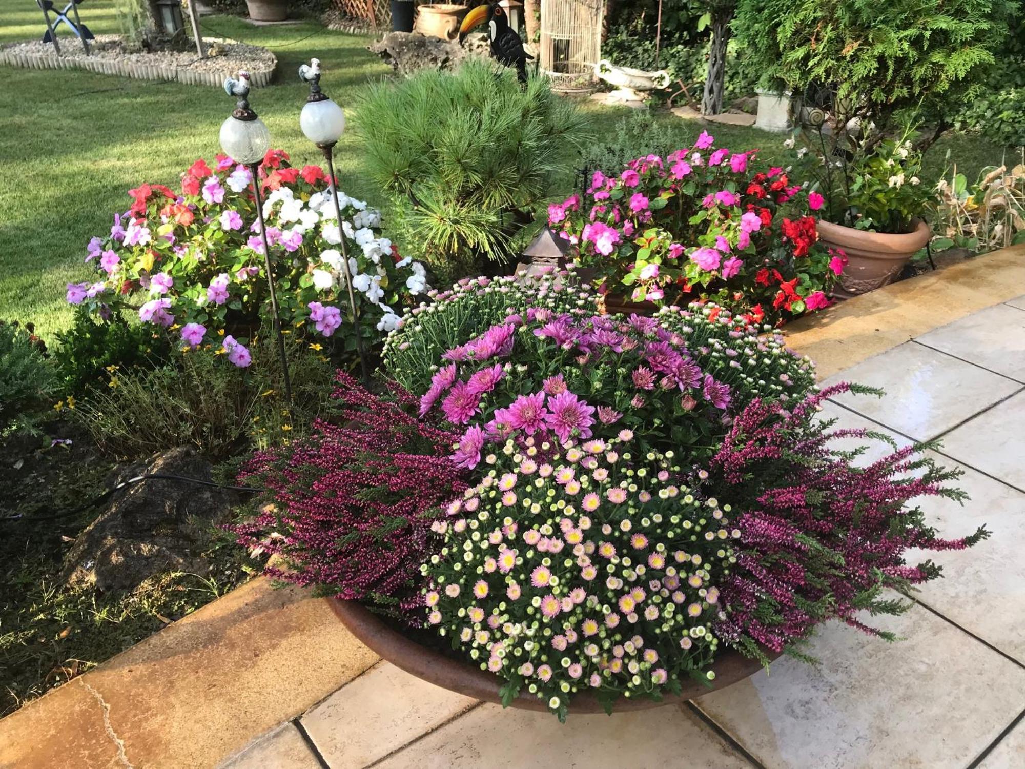 발라톤사르소 Viktoria House 빌라 외부 사진